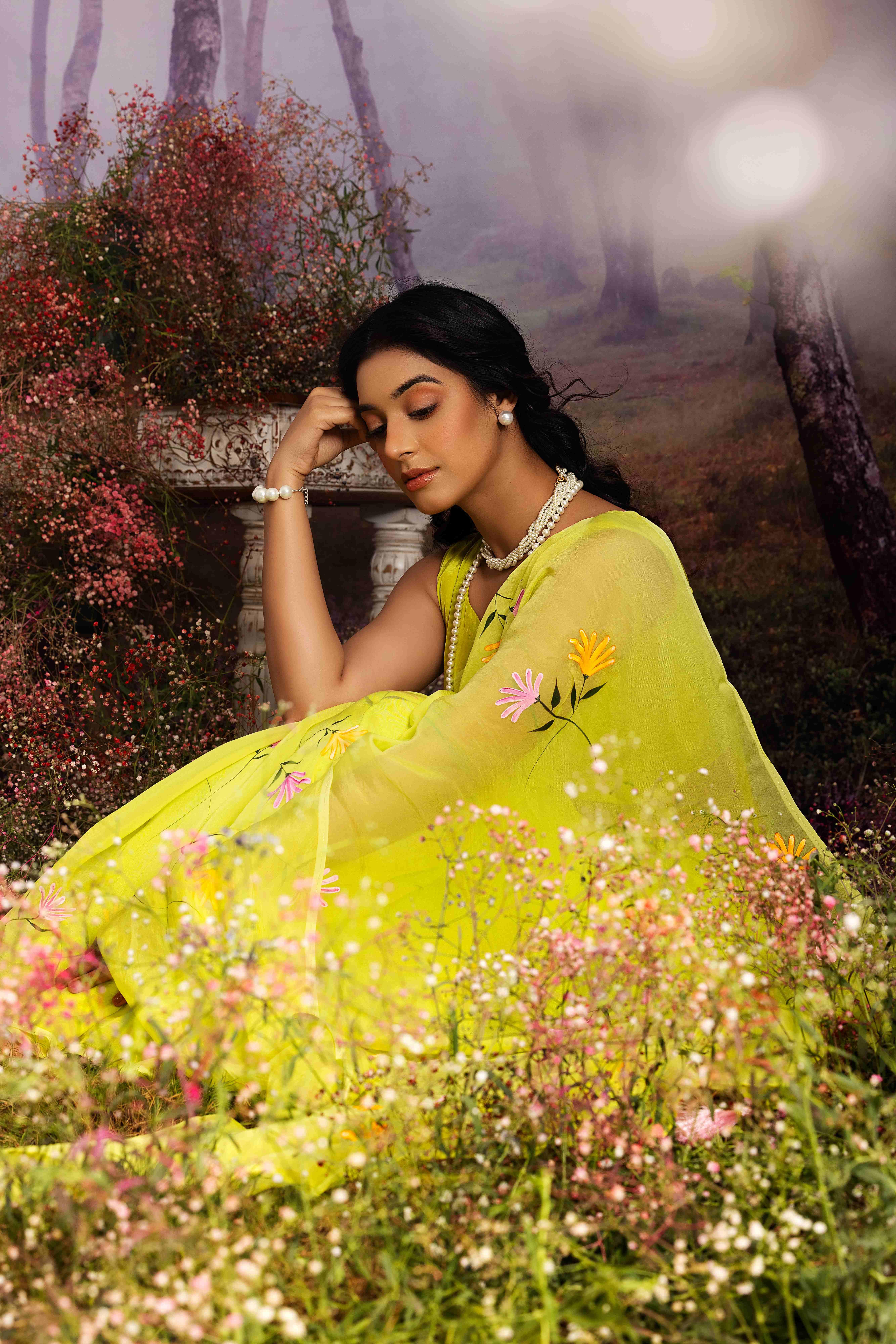 Saree fashion photography